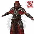 Ironknit Robe