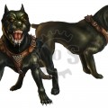 Guard Dog