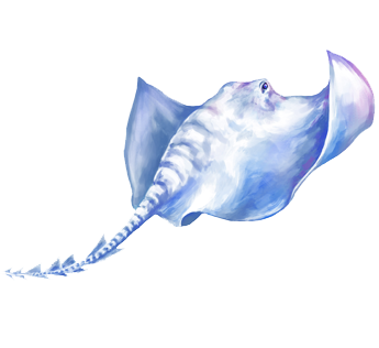 CLOUD RAY