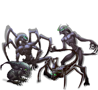 THE BROOD
